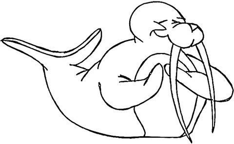 Walrus In Love  Coloring Page